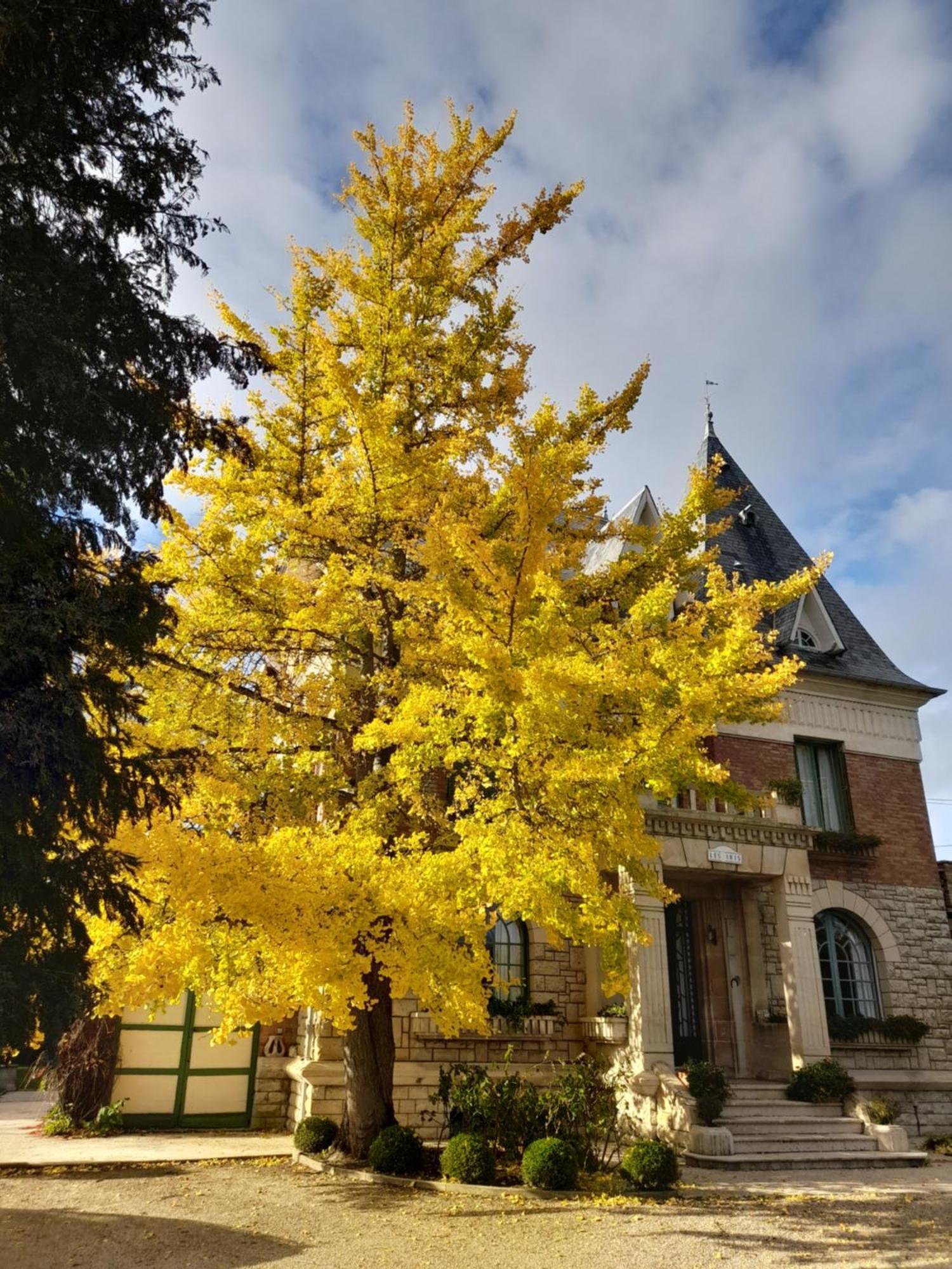 Villa Les Iris Saint-Félix Eksteriør bilde