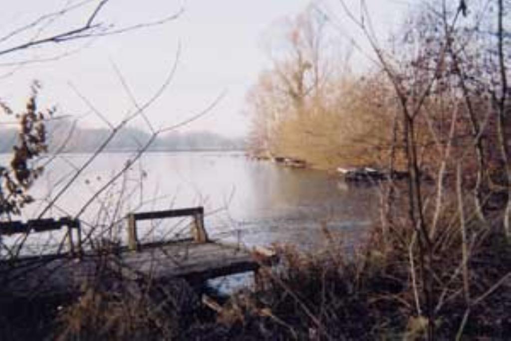 Villa Les Iris Saint-Félix Eksteriør bilde
